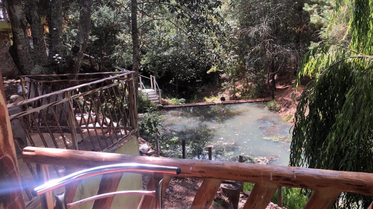 Rancho Los Alebrijes Zacatlán エクステリア 写真
