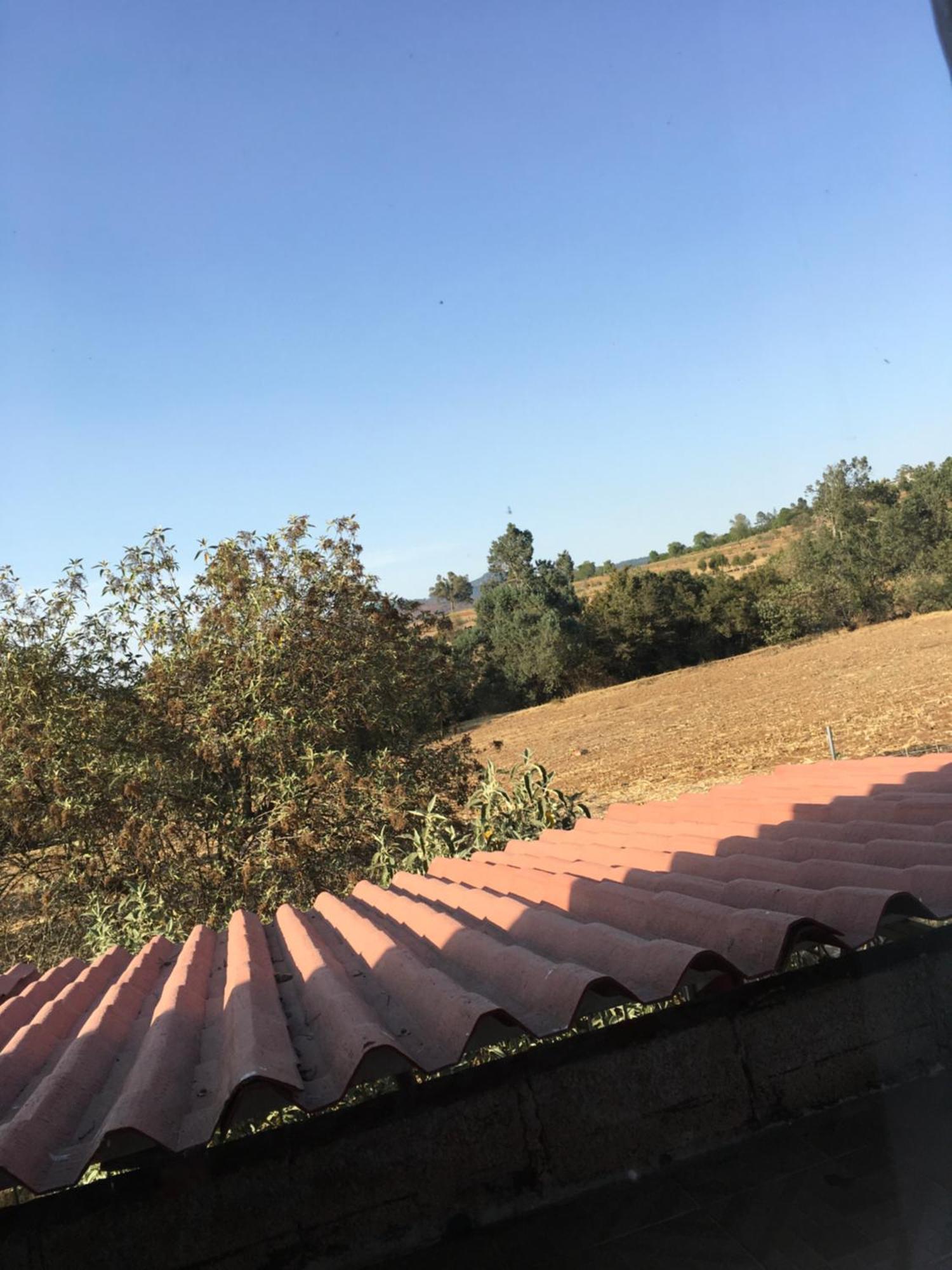 Rancho Los Alebrijes Zacatlán エクステリア 写真